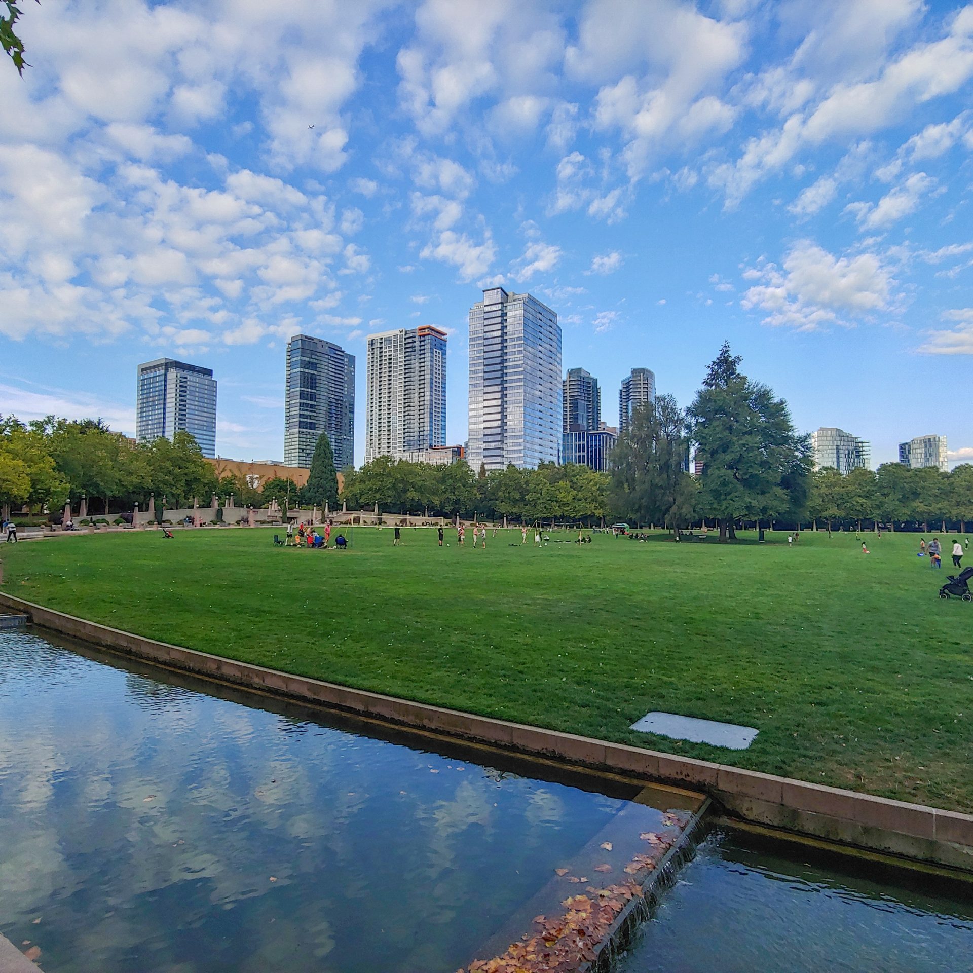 Bellevue Downtown Park is park located in the heart of downtown Bellevue, WA. The park was designed for passive and unstructured use, and as a respite from the activities of busy urban life.